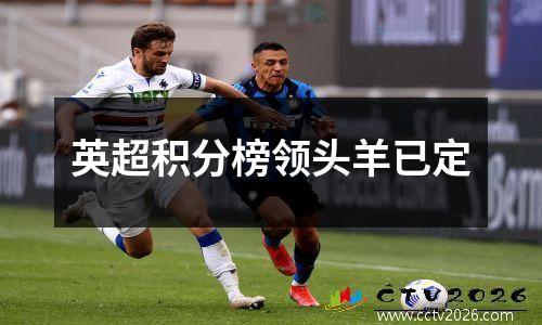 英超积分榜领头羊已定