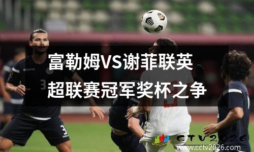 富勒姆VS谢菲联英超联赛冠军奖杯之争