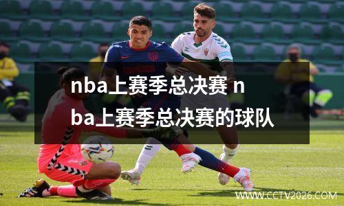 nba上赛季总决赛 nba上赛季总决赛的球队