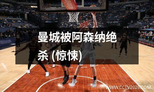 曼城被阿森纳绝杀 (惊悚)