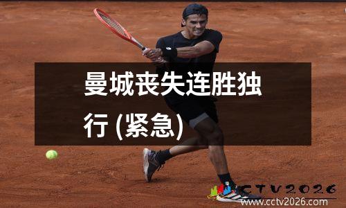 曼城丧失连胜独行 (紧急)