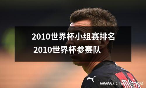 2010世界杯小组赛排名 2010世界杯参赛队