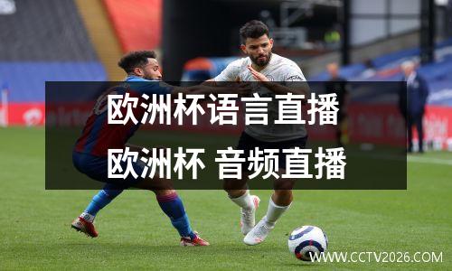 欧洲杯语言直播 欧洲杯 音频直播