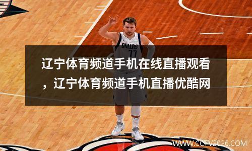 辽宁体育频道手机在线直播观看，辽宁体育频道手机直播优酷网