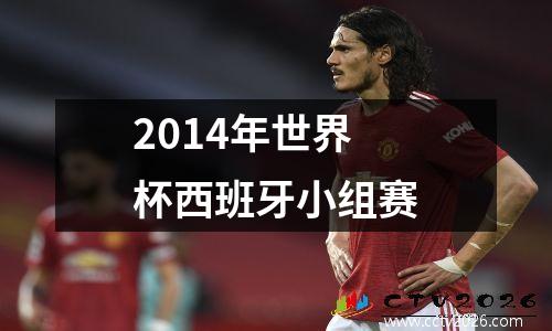 2014年世界杯西班牙小组赛
