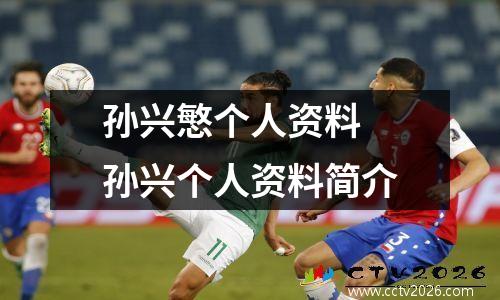 孙兴慜个人资料 孙兴个人资料简介