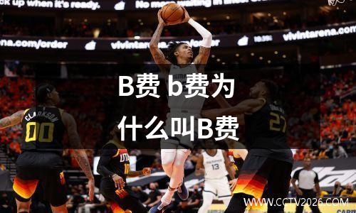 B费 b费为什么叫B费