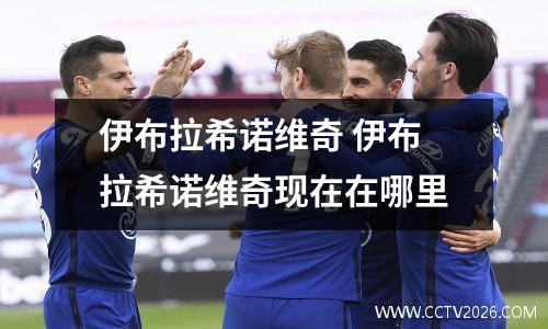 伊布拉希诺维奇 伊布拉希诺维奇现在在哪里
