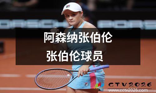 阿森纳张伯伦 张伯伦球员
