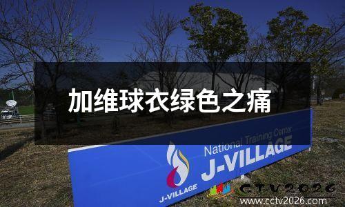 加维球衣绿色之痛