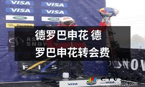 德罗巴申花 德罗巴申花转会费