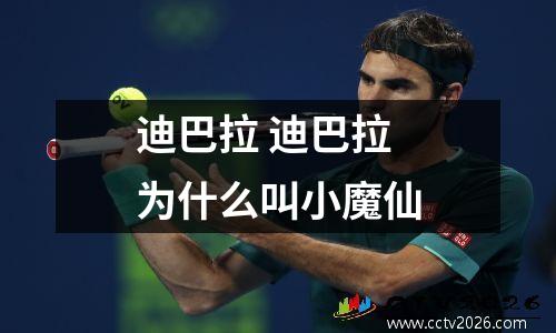 迪巴拉 迪巴拉为什么叫小魔仙