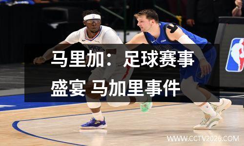 马里加：足球赛事盛宴 马加里事件