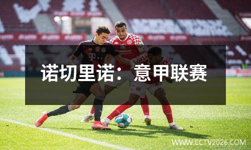 诺切里诺：意甲联赛