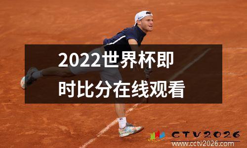 2022世界杯即时比分在线观看