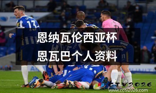 恩纳瓦伦西亚杯 恩瓦巴个人资料