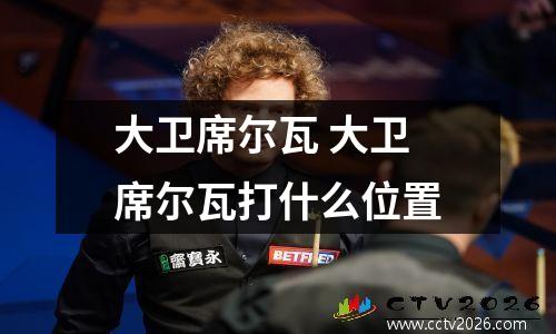 大卫席尔瓦 大卫席尔瓦打什么位置