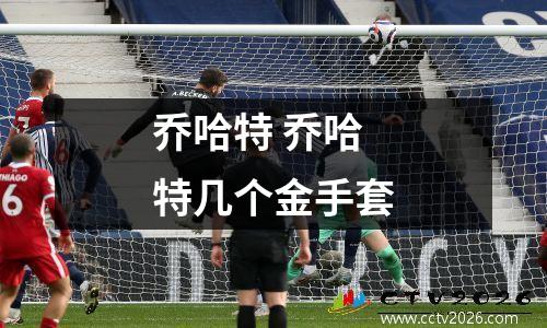 乔哈特 乔哈特几个金手套