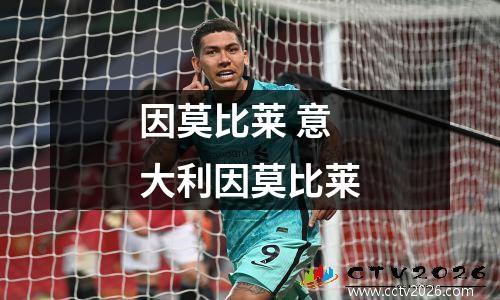 因莫比莱 意大利因莫比莱