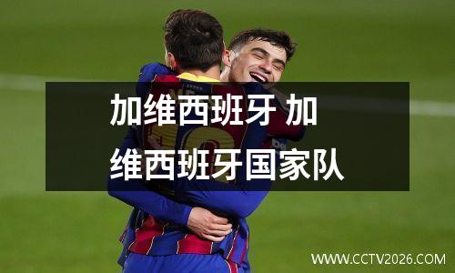 加维西班牙 加维西班牙国家队