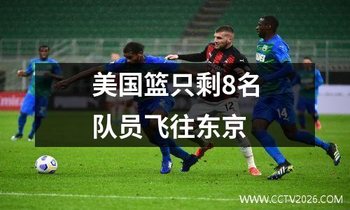 美国篮只剩8名队员飞往东京