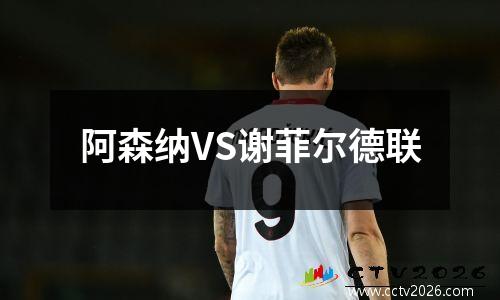 阿森纳VS谢菲尔德联