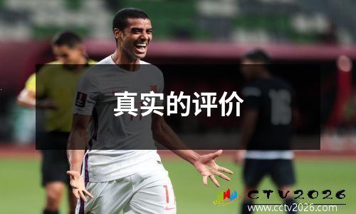真实的评价