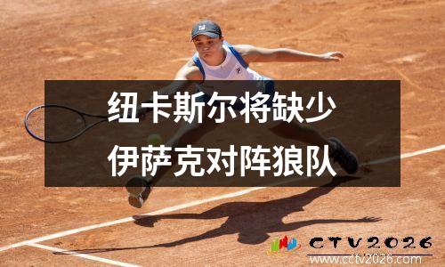 纽卡斯尔将缺少伊萨克对阵狼队