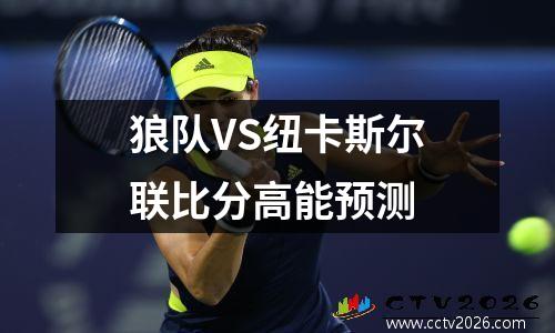 狼队VS纽卡斯尔联比分高能预测