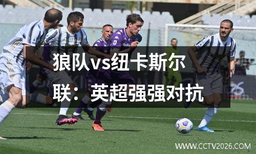 狼队vs纽卡斯尔联：英超强强对抗
