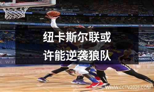 纽卡斯尔联或许能逆袭狼队