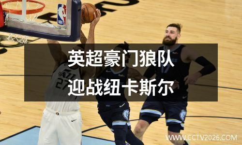 英超豪门狼队迎战纽卡斯尔