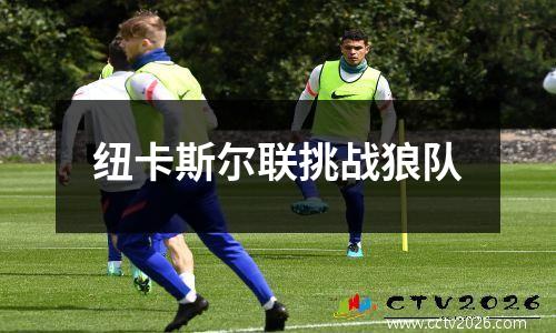 纽卡斯尔联挑战狼队