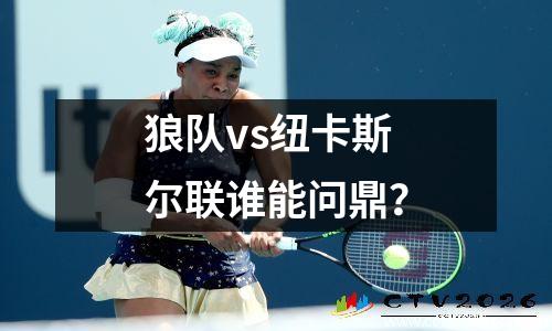 狼队vs纽卡斯尔联谁能问鼎？