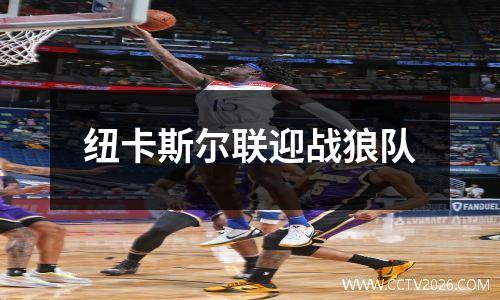 纽卡斯尔联迎战狼队