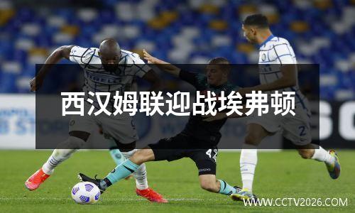 西汉姆联迎战埃弗顿