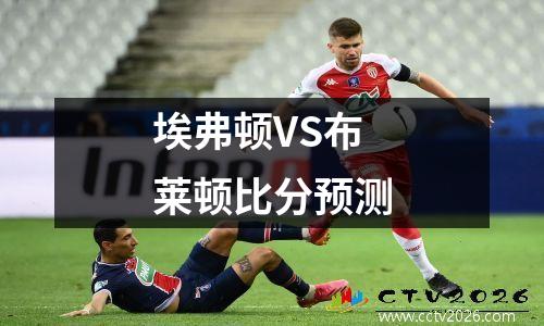 埃弗顿VS布莱顿比分预测