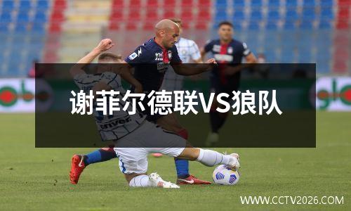 谢菲尔德联VS狼队