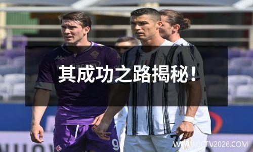 其成功之路揭秘！