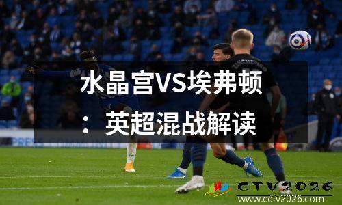 水晶宫VS埃弗顿：英超混战解读