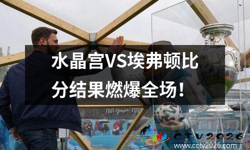 水晶宫VS埃弗顿比分结果燃爆全场！