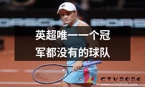 英超唯一一个冠军都没有的球队