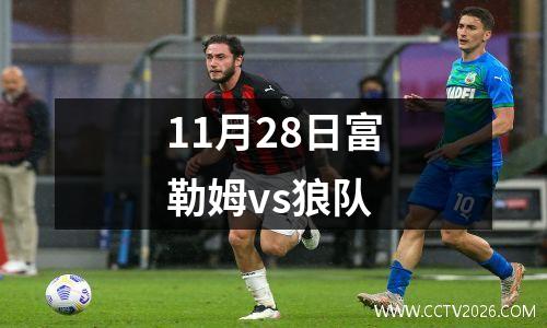 11月28日富勒姆vs狼队