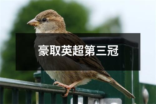 豪取英超第三冠