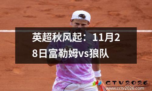 英超秋风起：11月28日富勒姆vs狼队