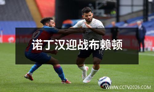 诺丁汉迎战布赖顿
