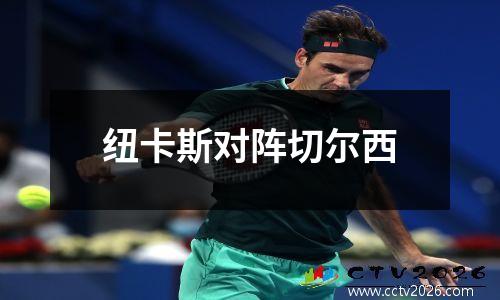 纽卡斯对阵切尔西