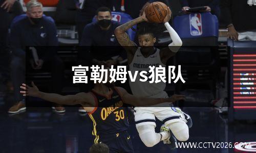 富勒姆vs狼队