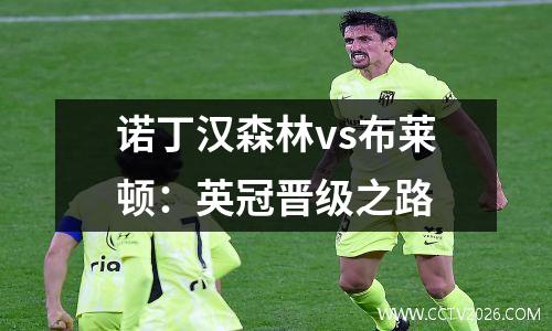 诺丁汉森林vs布莱顿：英冠晋级之路