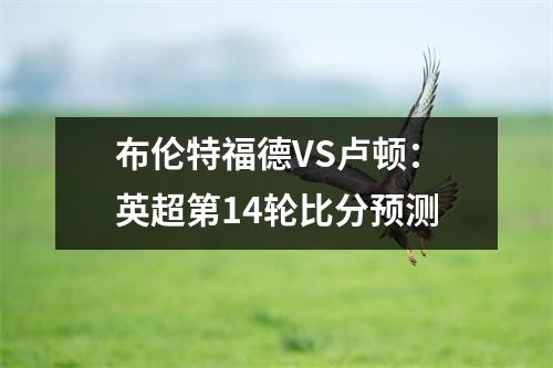 布伦特福德VS卢顿：英超第14轮比分预测